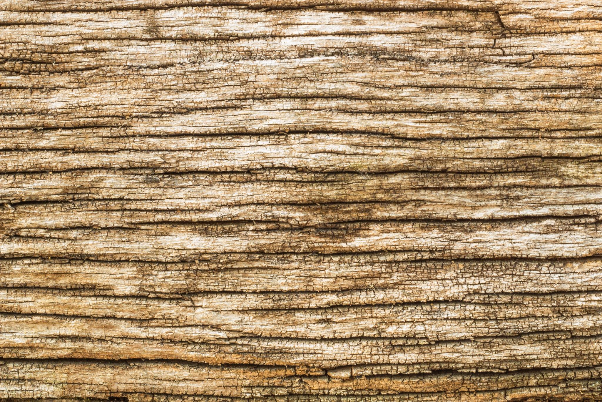 zoneWood